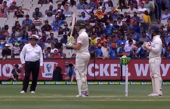 Pant and Paine